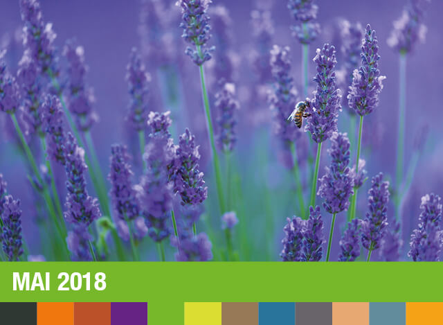 Mai 2018 | Staudigl-Druck Gewinnspiel