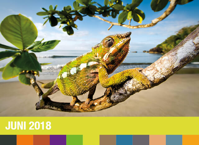 Juni 2018 | Staudigl-Druck Gewinnspiel