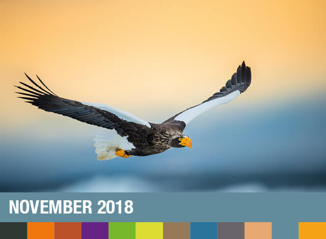 November 2018 | Staudigl-Druck Gewinnspiel