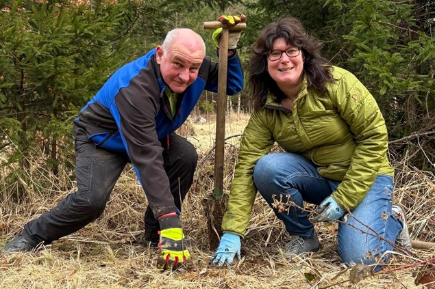 Titelbild Bäumepflanzen
